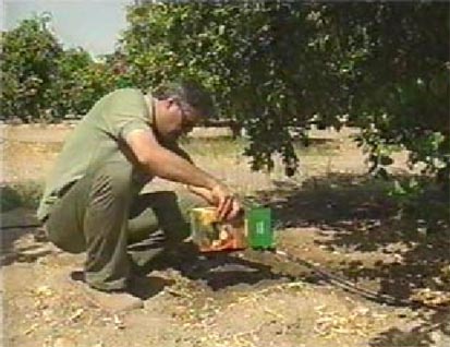 KHAZRA ( Iron Chelate Fertilizer ) - MarPar Company Products